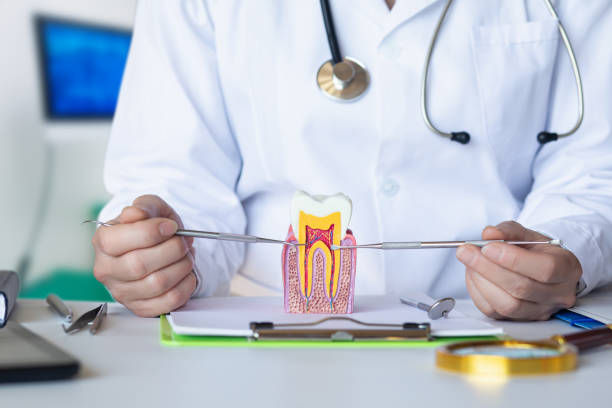 Best Emergency Dental Care for Broken or Chipped Teeth in Mariposa, CA
